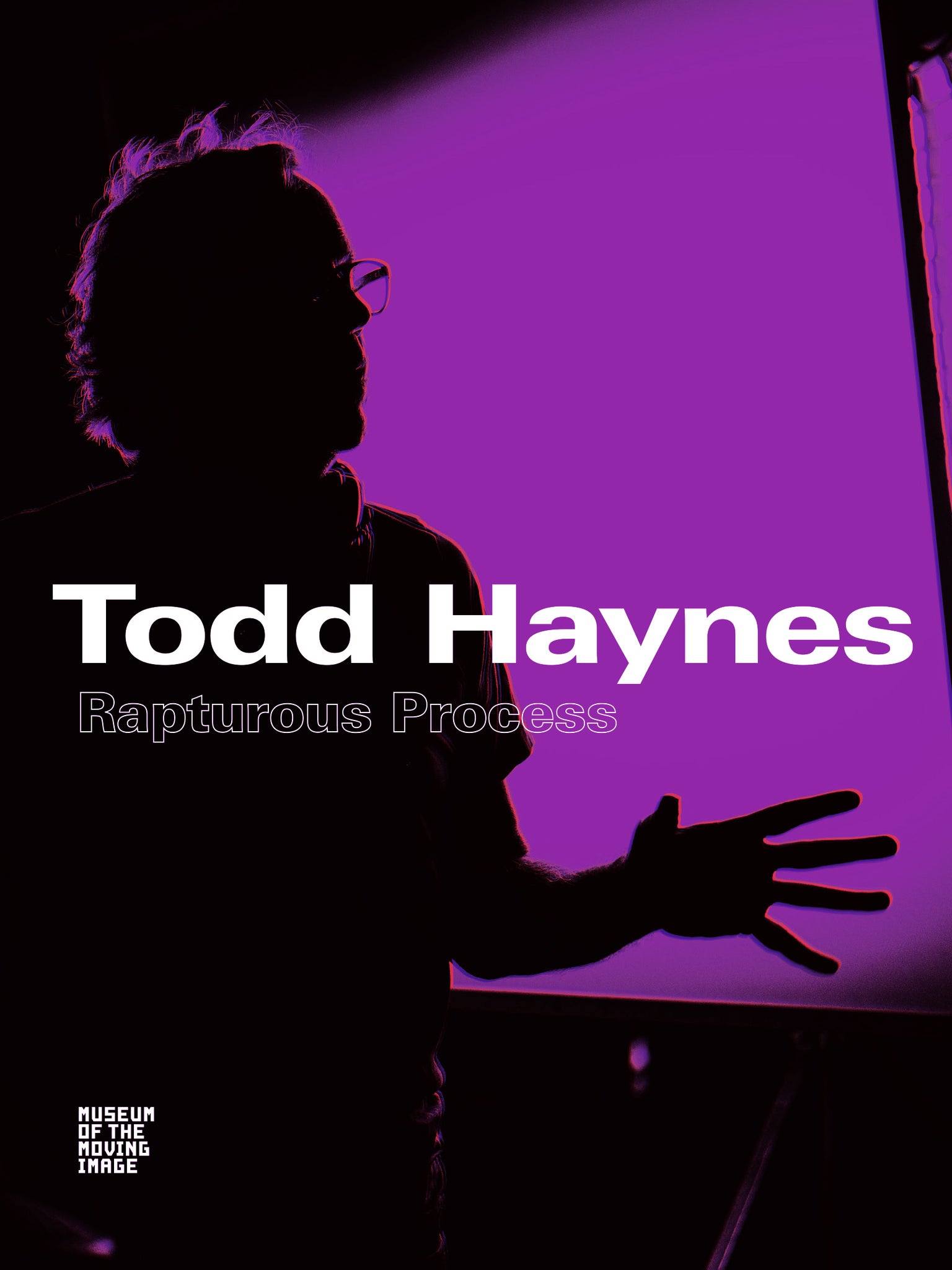 Todd Haynes: Rapturous Process